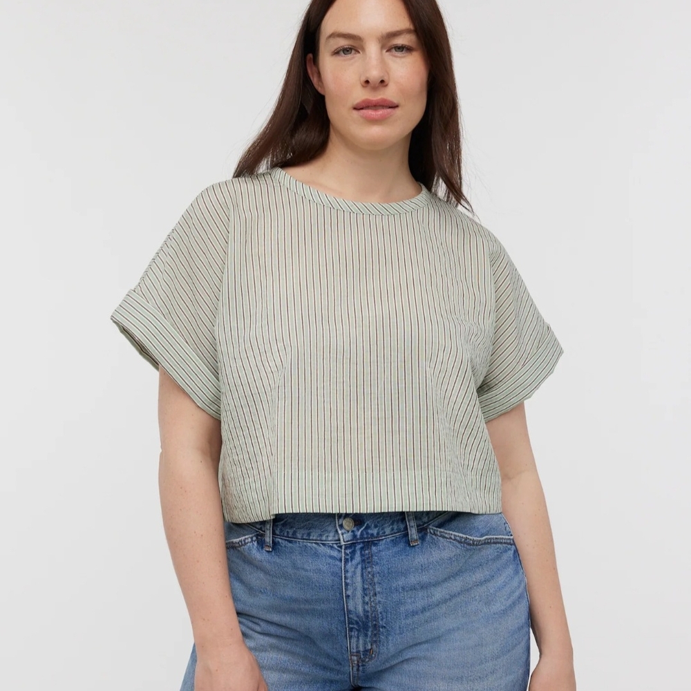 Madewell Dolman Crop Top in Stripe